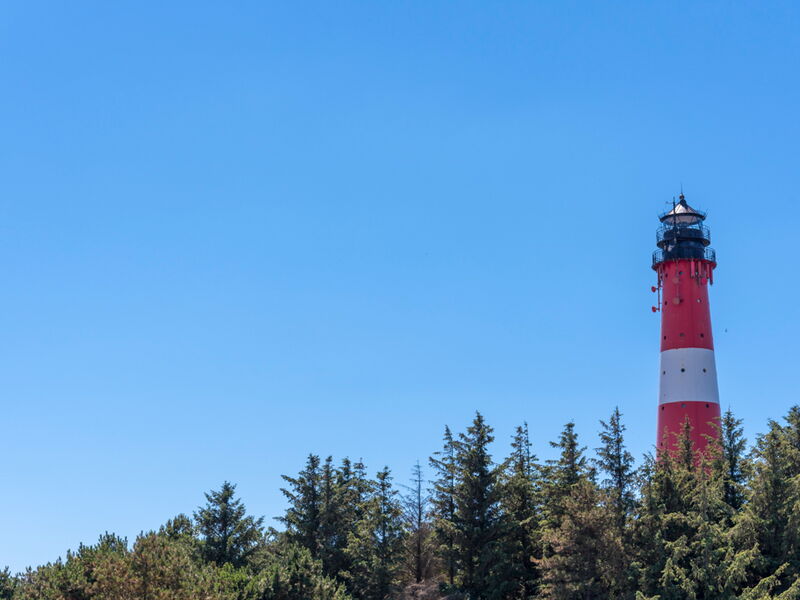 Hörnumer Leuchtturm und Wald